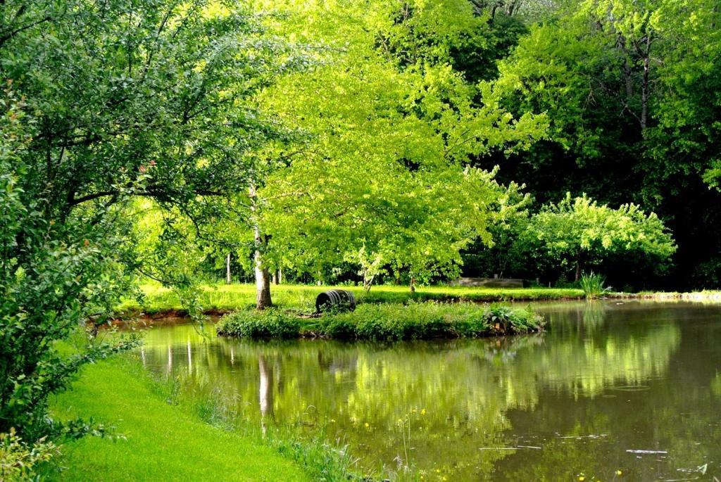 Bed and Breakfast Domaine De Varenne Saint-Amand-en-Puisaye Екстер'єр фото